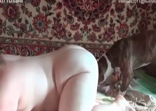 Intense dog pounding