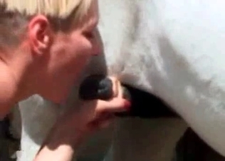 Pony getting its cock sucked