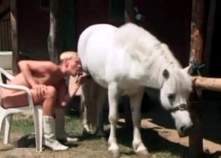 Pony getting its cock sucked