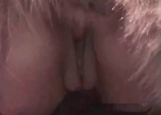 Tight pussy owned by a dog