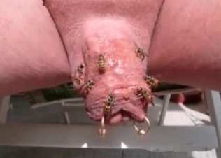 Kinky, creepy insect action