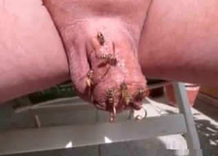 Kinky, creepy insect action