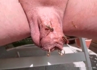 Kinky, creepy insect action
