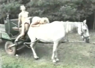 Big boner for a horse