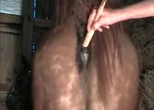 Pony gets fucked by a hung dude