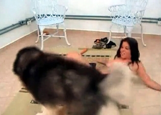 Brunette fucking this horny stray