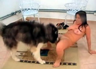 Brunette fucking this horny stray