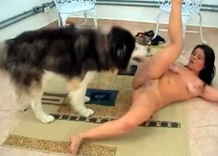 Brunette fucking this horny stray