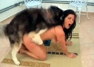 Brunette fucking this horny stray