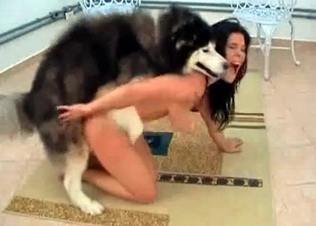 Brunette fucking this horny stray