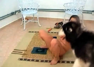 Brunette fucking this horny stray