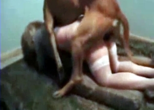 Slutty babe fucked a jacked up dog