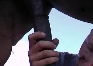 Hung horse revealing its dick