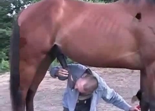 Hung horse revealing its dick