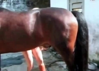 Slutty babe fucking a horse