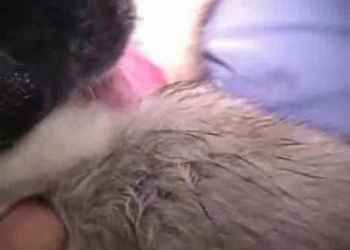 Animalistic sex with a raw dog