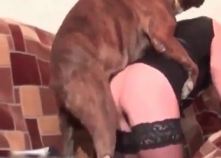 Pussy stretched out by a dog