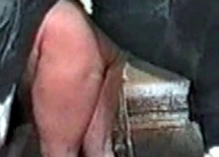 Horse fucking a fatty