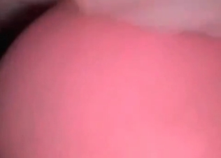 Cute little puppy fucking