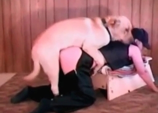 Cute little puppy fucking