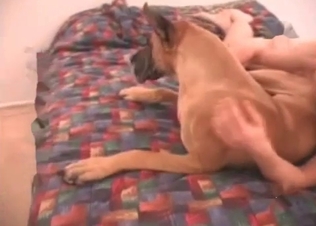 Cute dog fucking her butthole