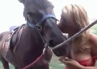 Horse licking her erect nipples