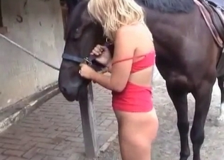 Horse licking her erect nipples