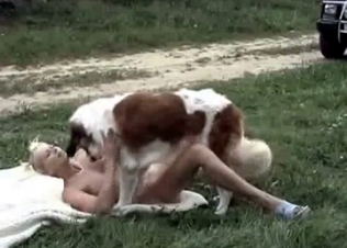 Stacked bitch loving outdoors animal sex