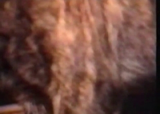 Old school animal fucking