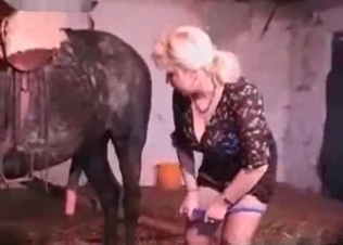 Horse cock for a total whore