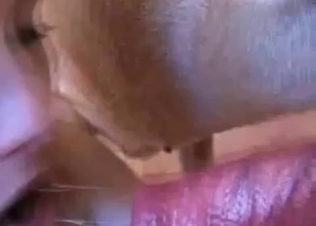 Gulping up that animal jizz
