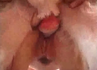 Tiny slut pounded by a pooch
