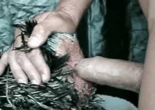 Horny stud fucking a hot chicken