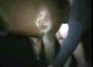 Rabid stallion fucking
