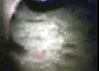 Rabid stallion fucking