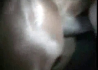 Rabid stallion fucking