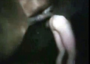 Rabid stallion fucking