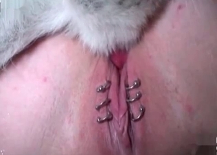 Rimjob from a horny dog