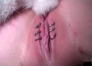 Rimjob from a horny dog