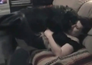 Crazy hot animal sex