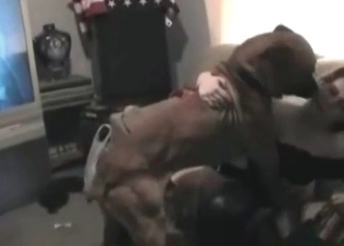Crazy hot animal sex