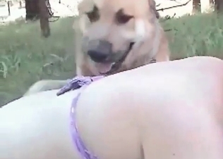 Hound loves this outdoors fucking session