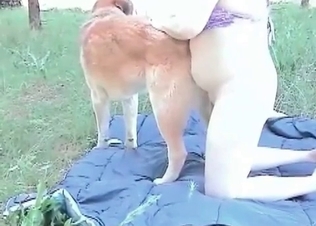 Hound loves this outdoors fucking session