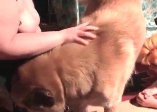 Massive dog railing this sexy MILF
