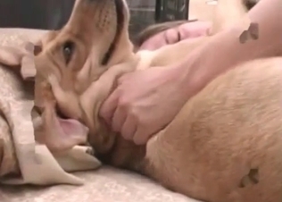 Dude fucking that dog’s ass raw