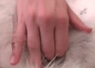 Bedroom sex for a husky
