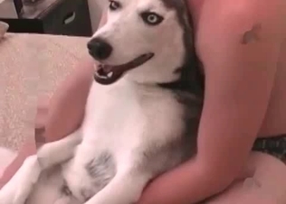 Bedroom sex for a husky