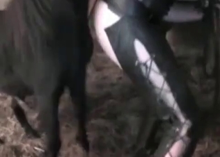 Horse fucking her tight cunt
