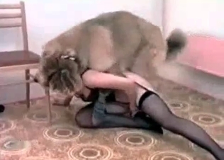 Nylon-clad whore seducing a dog