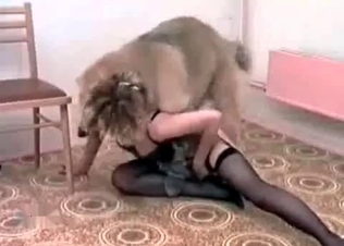 Nylon-clad whore seducing a dog